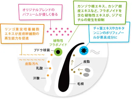 オトコの臭い物質を包み込み優しく香る。