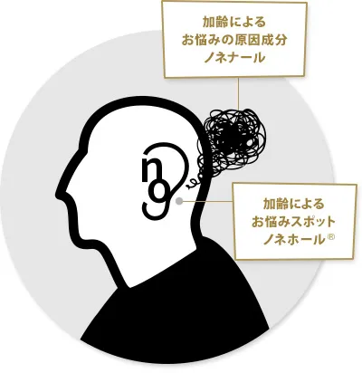 ノーガードの加齢臭スポット「耳の裏」