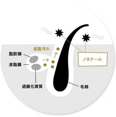 “加齢臭”はなぜ発生するのか？